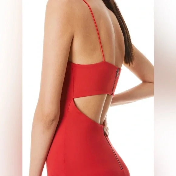 Alice + Olivia Red Bright Poppy Nelle Spaghetti Strap Maxi Cut Out Dress - Picture 4 of 6